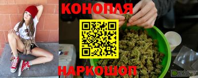 хмурый Тула