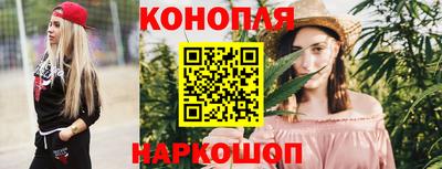 хмурый Тула