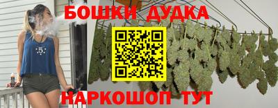 хмурый Тула
