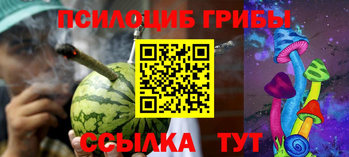 Галлюциногенные грибы Magic Shrooms  Вход с VPN  Большой Камень  Галлюциногенные грибы Psilocybine cubensis 